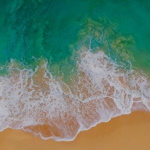 Meet your Posher, Malcolm